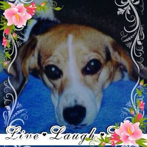 Meet your Posher, Gina